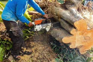 Adam günlük elektrikli testereyle kesme tezgahlar