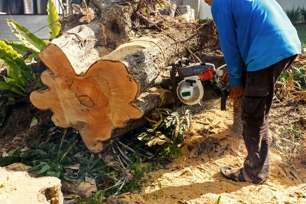 Hombre aserrando troncos con una motosierra — Foto de Stock