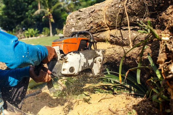 Uomo segare il tronco con una motosega — Foto Stock