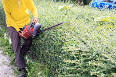 Adam kesme çitlerinde Street