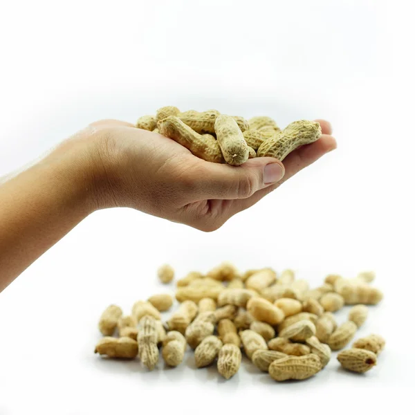 Amendoim, feijão isolado sobre fundo branco — Fotografia de Stock