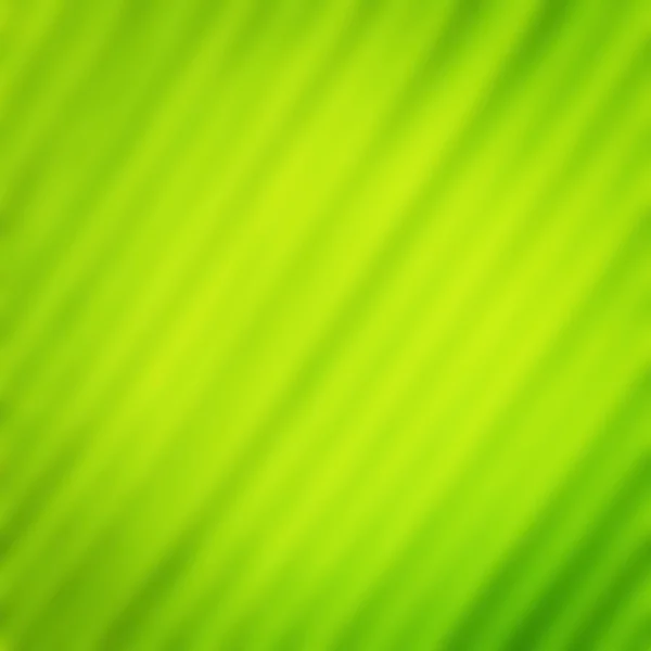 Blur of Green leave texture for background — Stock Photo, Image
