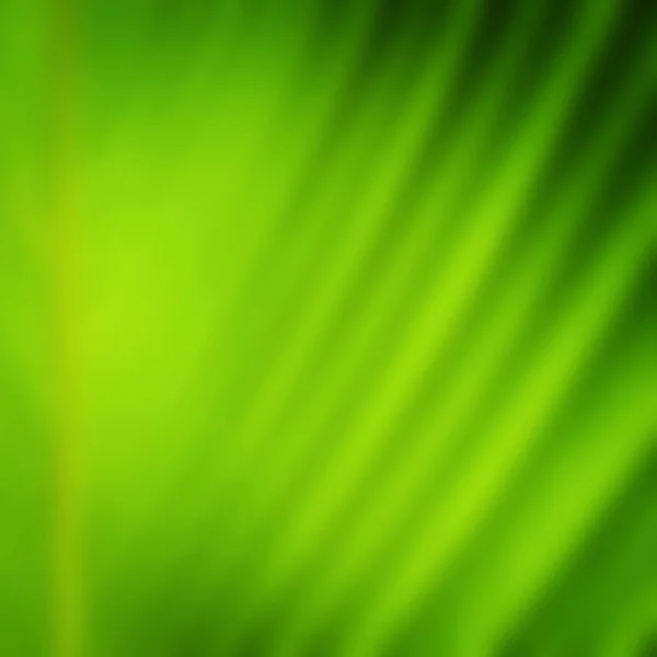 Blur of Green leave texture for background — Stock Photo, Image