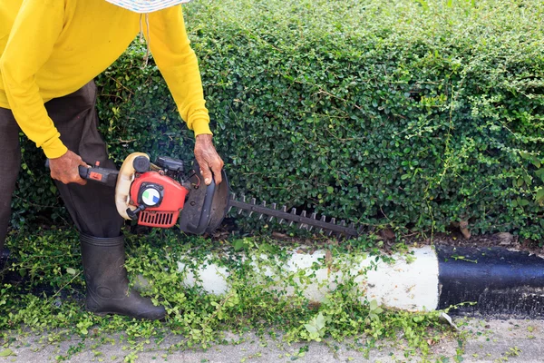 Mann schneidet Hecke auf der Straße — Stockfoto