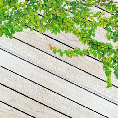 Gri ahşap tahta arka plan ve doku