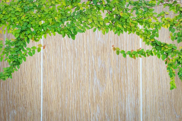 회색 나무 판자 배경과 텍스처 — 스톡 사진