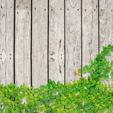 Gri ahşap tahta arka plan ve doku