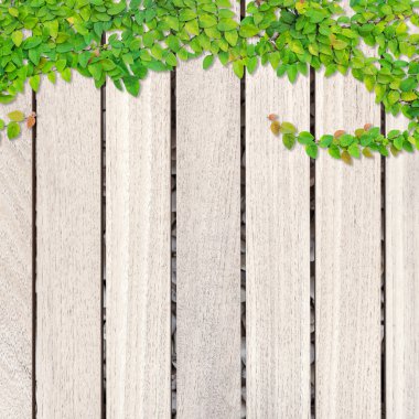 Gri ahşap tahta arka plan ve doku