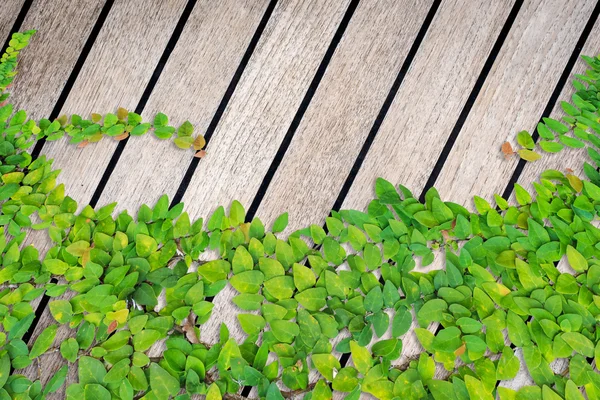 Fondo y textura de tablón de madera gris — Foto de Stock