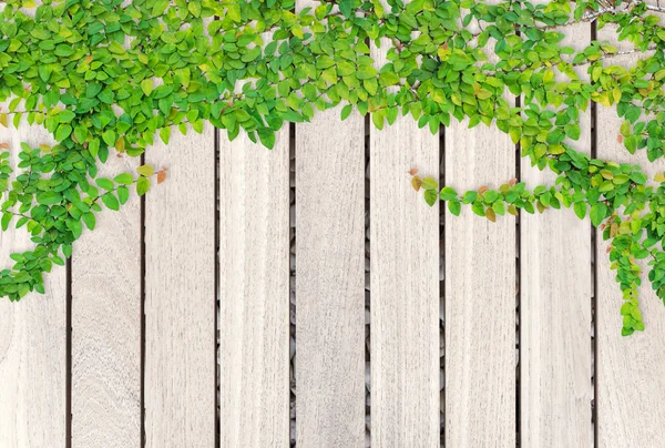 회색 나무 판자 배경과 텍스처 — 스톡 사진