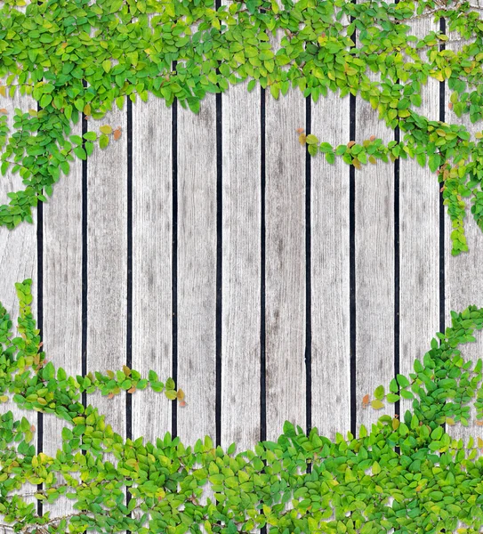 Текстура серого дерева — стоковое фото