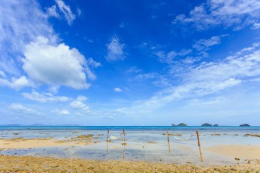 hamak arasında tropikal beach Koh Samui