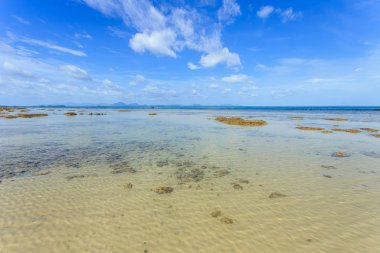 Tropikal deniz ve mavi gökyüzü Koh Samui, Tayland
