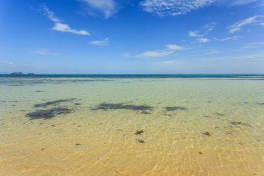 Tropikal deniz ve mavi gökyüzü Koh Samui, Tayland