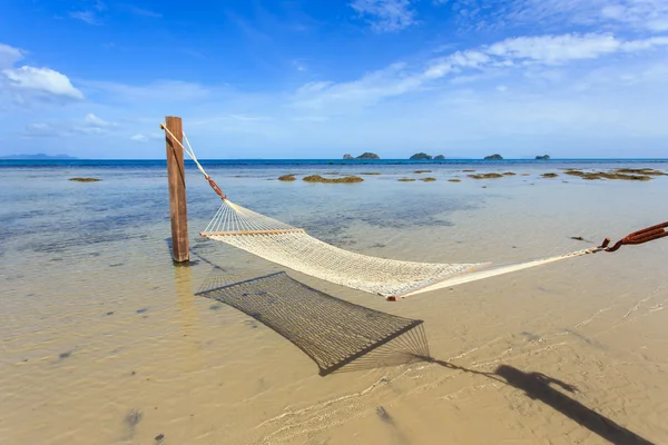 hamak arasında tropikal beach Koh Samui