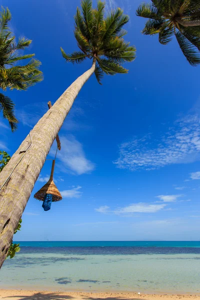 在海滩旁边的椰子树 — 图库照片