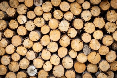 yığılmış günlükleri doku, doğal arka plan