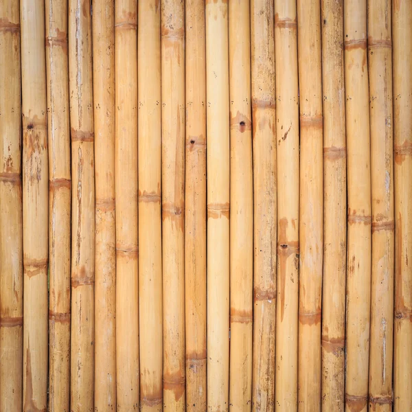 Bambus-Hintergrund — Stockfoto