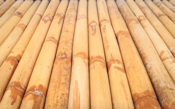 Bamboo background — Stock Photo, Image