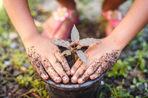 Mano de niños sosteniendo la planta y el suelo — Foto de Stock