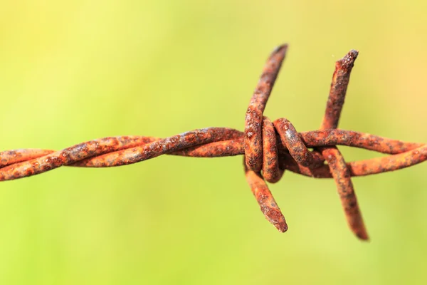 Rusty barbed wire — Stock Photo, Image