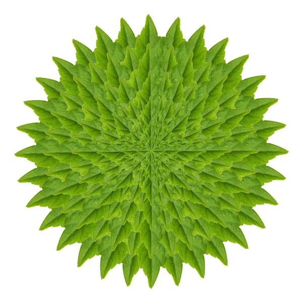 Abstraktní zelený list — Stock fotografie