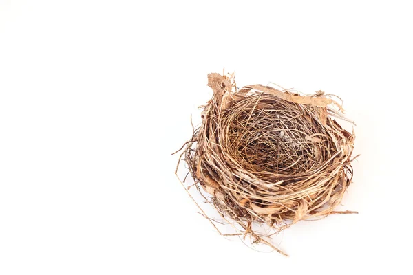 Порожній Пташине гніздо — стокове фото