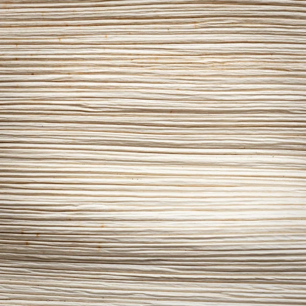 Close up texture of dried palm leaf — Stock Photo, Image