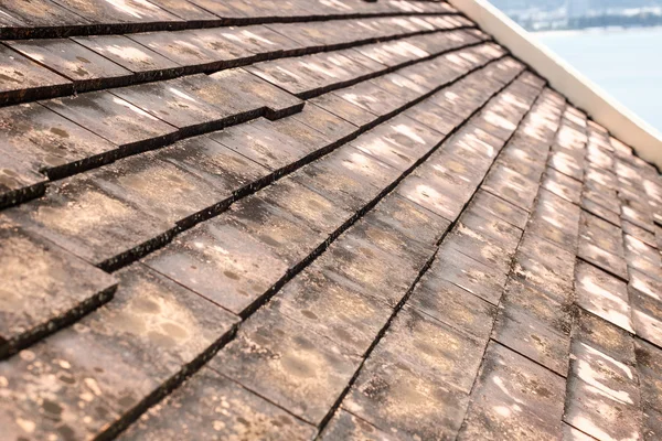 Old clay roof tiles with mold and algae on the surface. — Stock Photo, Image