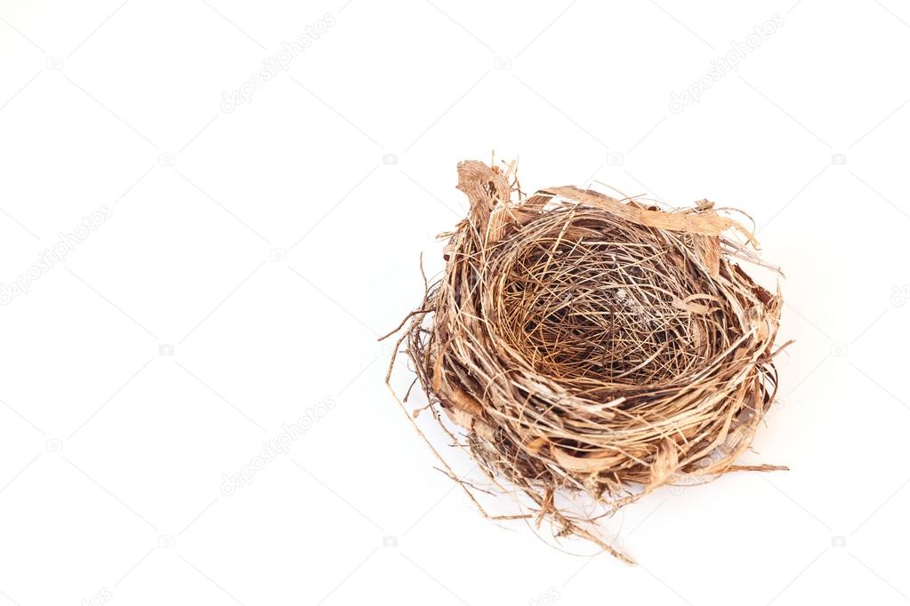 Empty bird nest