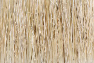 Arka plan için boya fırçası kapatın