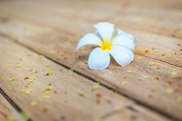 Biały kwiat, kwiat Plumeria lub Frangipani na stare drewniane deski — Zdjęcie stockowe