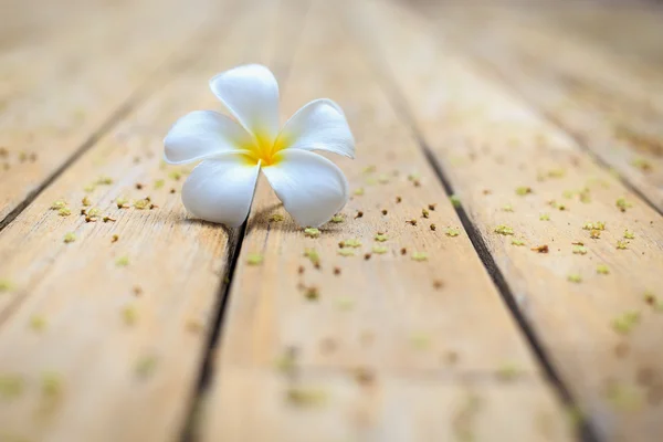 Vit blomma, Plumeria blomma eller Frangipani på gamla trä planka — Stockfoto