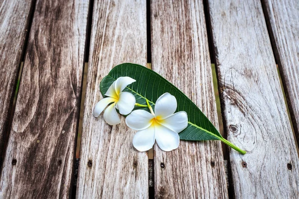 プルメリアの花や古い木の板にフランジパニ — ストック写真
