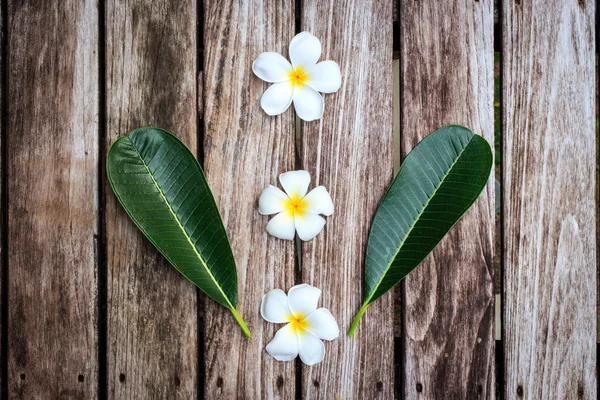 Flor de Plumeria o Frangipani sobre tabla de madera vieja — Foto de Stock