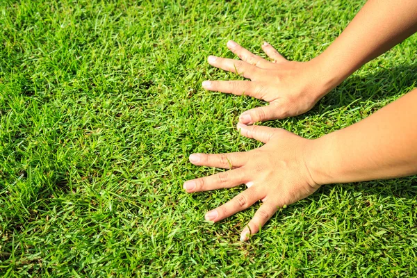 Ręce na zielonej trawie — Zdjęcie stockowe