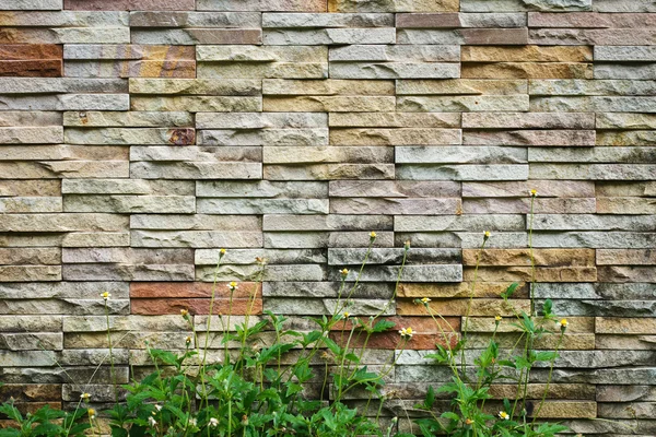 Fondo y textura de la pared de arenisca — Foto de Stock