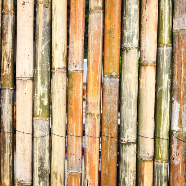 竹子的质地和背景 — 图库照片