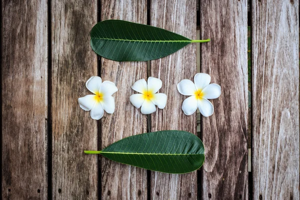 Plumeria kwiat lub Frangipani na stare drewniane deski — Zdjęcie stockowe