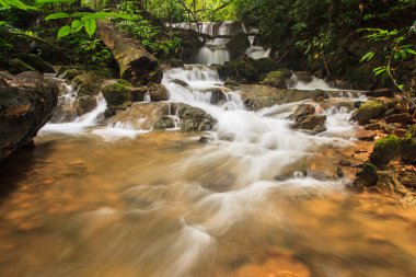 Şelale içinde Güney Tayland