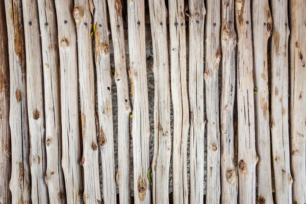 Fondo de registro de madera abstracta primer plano —  Fotos de Stock