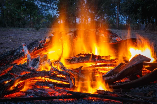 Fuego en el bosque — Foto de Stock