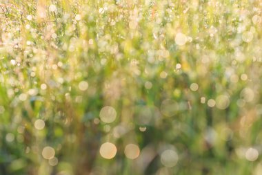 Bulanıklık açık renkli özetini