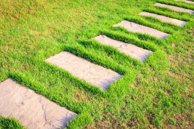 Bahçedeki taş patika