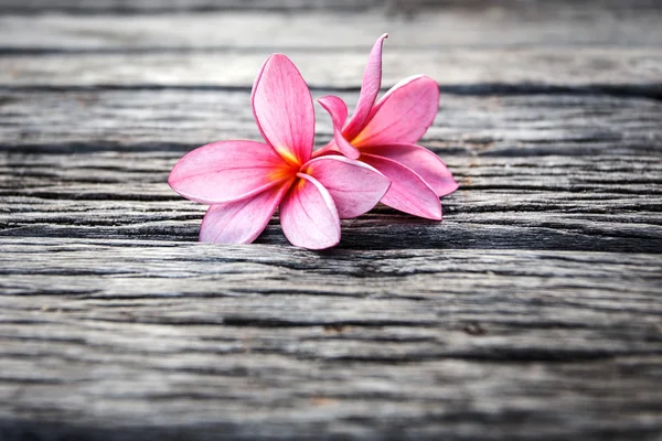 Flor en madera —  Fotos de Stock