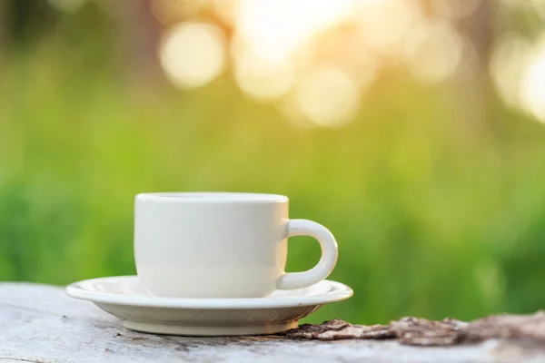 Tazza di caffè in giardino la mattina — Foto Stock