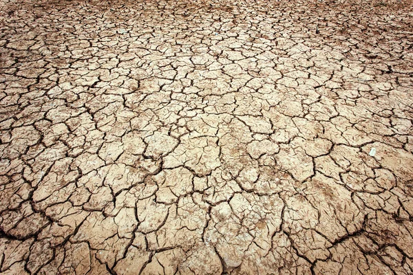 Gebarsten aarde textuur in het noordoosten van Thailand — Stockfoto