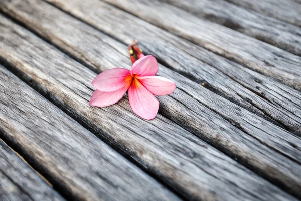 Kwiat na drewno — Zdjęcie stockowe