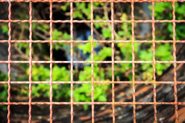 Metal net. Yakın çekim