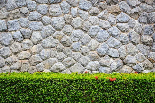 Kamenné zdi a dekorativní zahrada — Stock fotografie